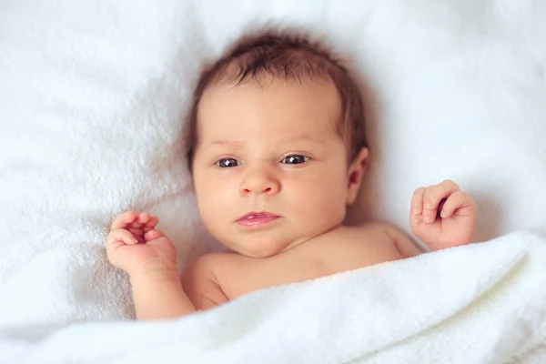 Söt dröm av det nyfödda barnet Royaltyfria Stockfoton