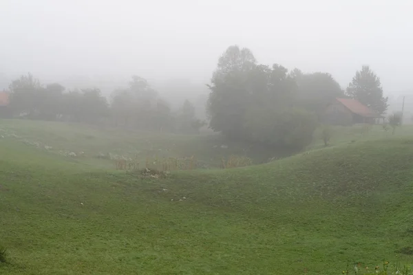 Rural landscape with fog in the morning — Stock Photo, Image