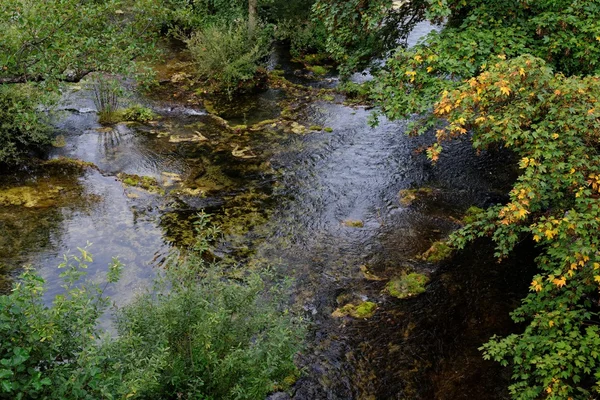 Surface of green travertine pond in autumn — Stock Photo, Image