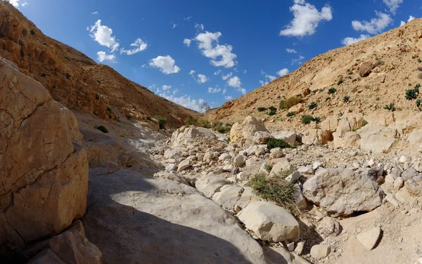 Desert canyon — Stock Photo, Image