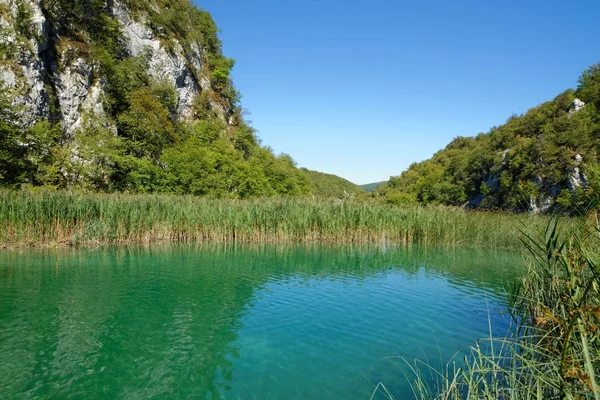 Pond bank landscape in bright summer day in Plitvice, Croatia — Stock Photo, Image