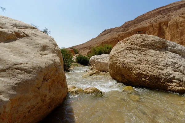 Wadi bin Hammad torrente nel deserto in Giordania — Foto Stock