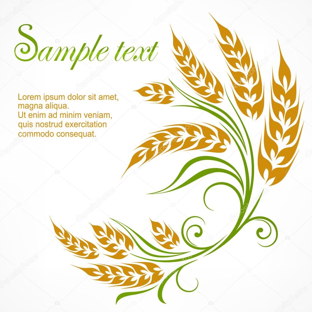 Modello di grano stilizzato — Vettoriali Stock © creatOR76 ...