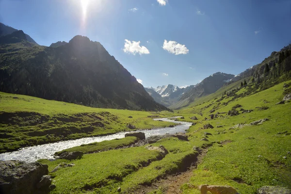 Vallei in Kirgizië — Stockfoto