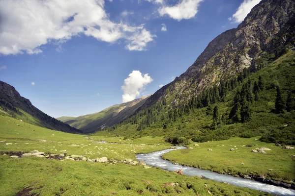 Vallei in Kirgizië — Stockfoto