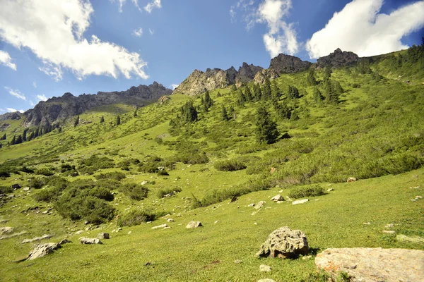 Vallei in Kirgizië — Stockfoto