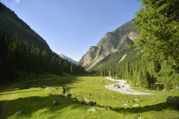 Valle in Kirghizistan — Foto Stock