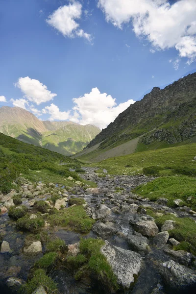 Vallei in Kirgizië — Stockfoto