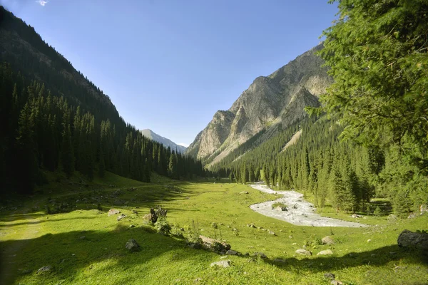 Vallei in Kirgizië Stockfoto