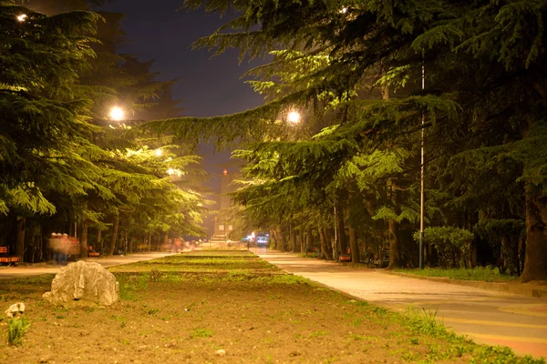 Gece parkta yürüyüş — Stok fotoğraf