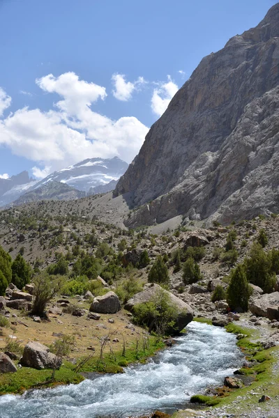 A hegyi folyó, Tádzsikisztán Stock Kép