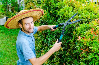 Adam çalıları keser