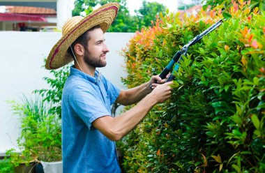 Adam çalıları keser