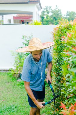 Adam çalıları keser