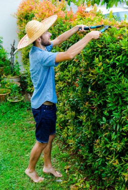 Adam çalıları keser