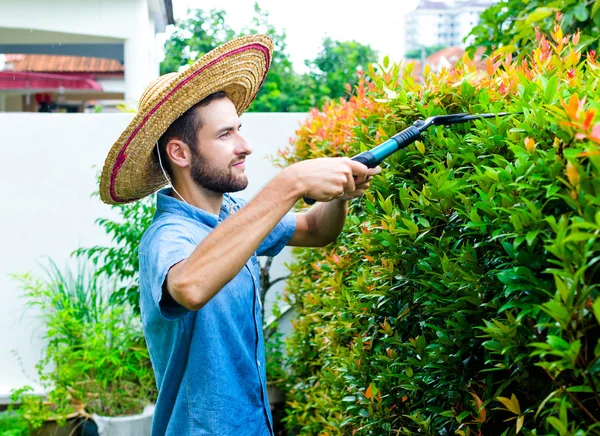 Man cuts bushes — Stock Photo, Image