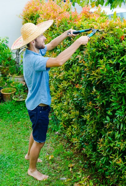 Man cuts bushes — Stock Photo, Image