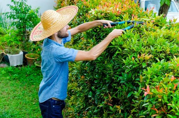 男が茂みをカットします。 — ストック写真