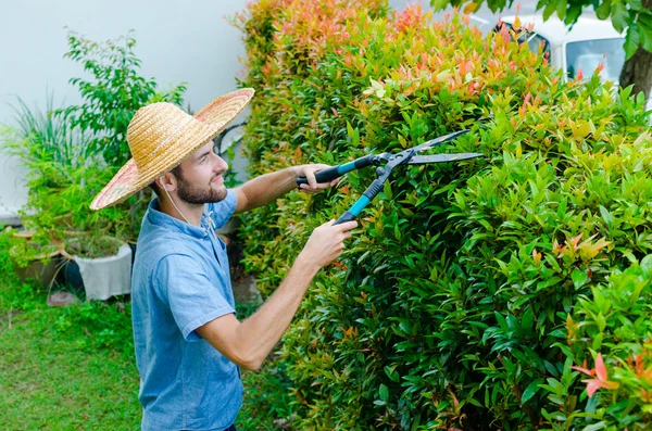 Man cuts bushes — Stock Photo, Image