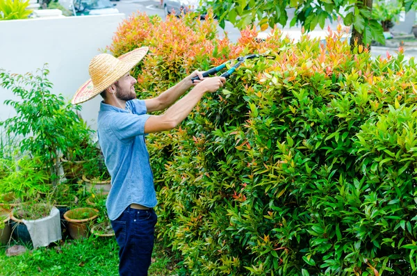 男が茂みをカットします。 — ストック写真