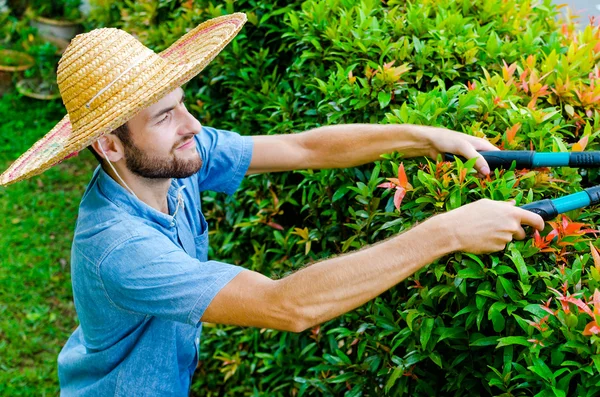 男が茂みをカットします。 — ストック写真