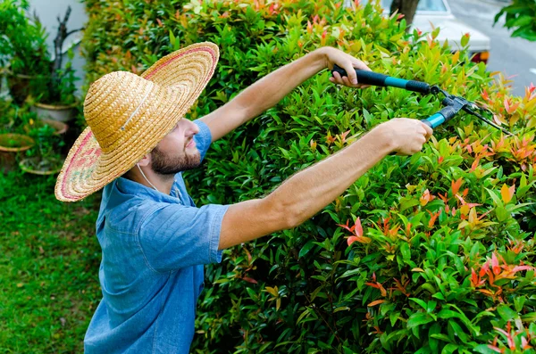 Man cuts bushes — Stock Photo, Image