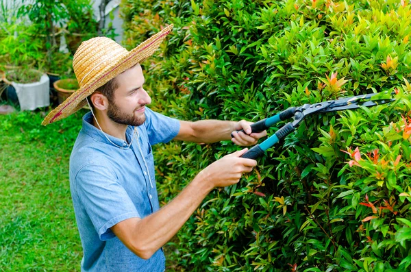 Homem corta arbustos — Fotografia de Stock