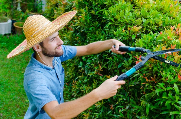 Man cuts bushes — Stock Photo, Image