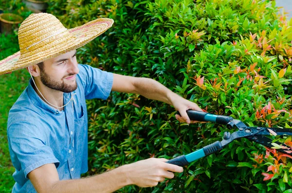 男が茂みをカットします。 — ストック写真