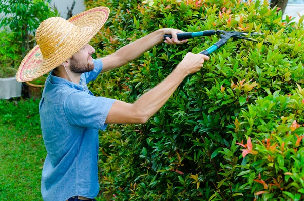 Man cuts bushes — Stock Photo, Image