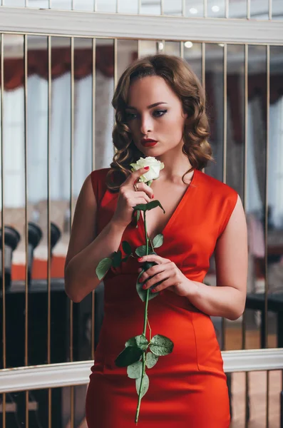Beautiful woman holding white rose — Stock Photo, Image