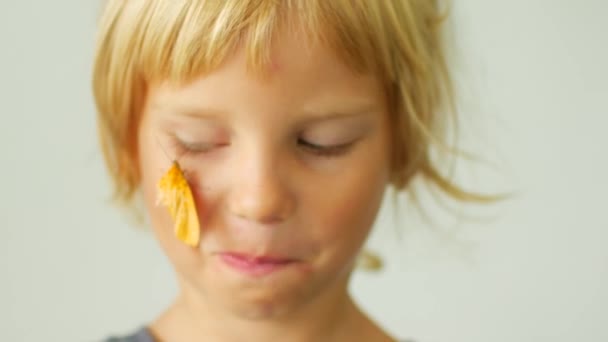 Petite fille avec un papillon sur la joue — Video