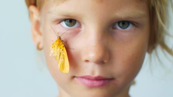 Petite fille avec un papillon sur la joue — Video