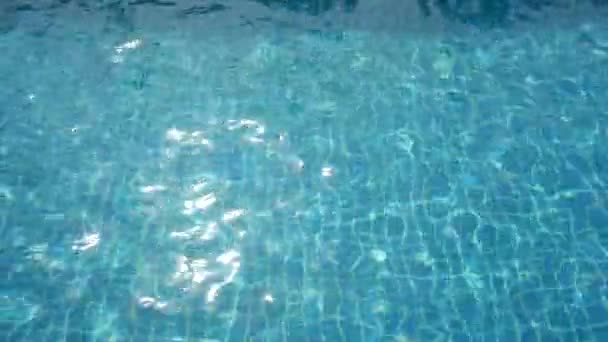 Acqua limpida della piscina, nessuna gente — Video Stock