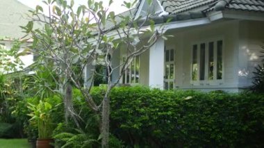 Tropik tatil köyü, yeşillik, garaj yolu. Tayland 'da tatiller