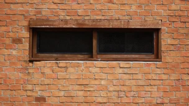 Деревянное окно в кирпичной стене — стоковое видео
