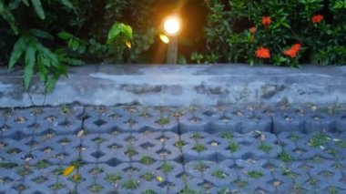 Parkta akşam feneri, güney adası