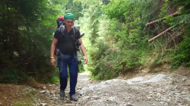 Un hombre con una mochila trepa por un sendero forestal. — Vídeos de Stock