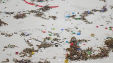 Deniz yosunu ve kumsalda kum arasında çöp.