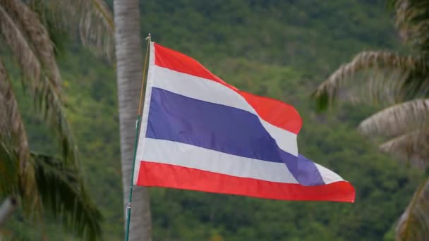 Bandeira da Tailândia flutters contra um fundo de palmeiras — Vídeo de Stock