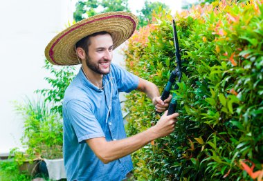 Adam çalıları keser