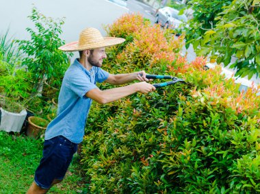 Adam çalıları keser