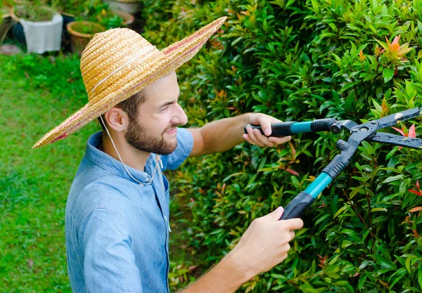 Homem corta arbustos — Fotografia de Stock