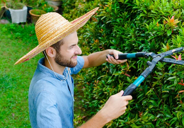 Mann schneidet Büsche — Stockfoto