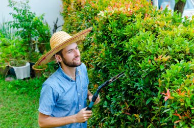 Adam çalıları keser