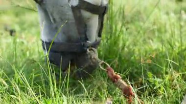 Açık gri bir at köyün yakınındaki yemyeşil çimlerde huzur içinde otluyor. Kırsal yaşam, hayvanlar ve sakin manzaralarla ilgili konular için ideal.