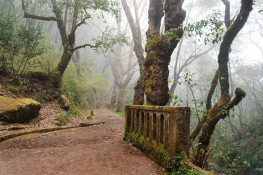 Madeira, sulama kanalı boyunca yürüyüş (Levada)