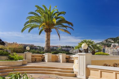 Monaco Palm'da