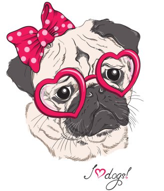 Fashion portrait of pug dog hipster in hearts glasses isolated on white. Vector hand drawn illustration