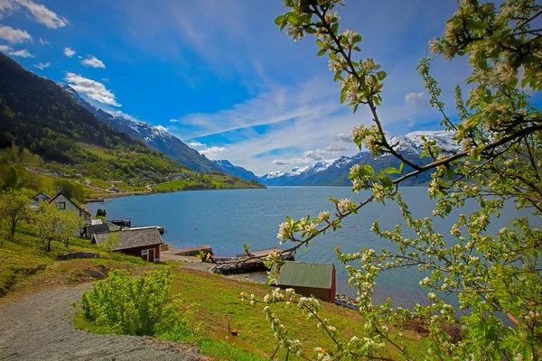 Fiordo Hardangerfjord en Noruega —  Fotos de Stock